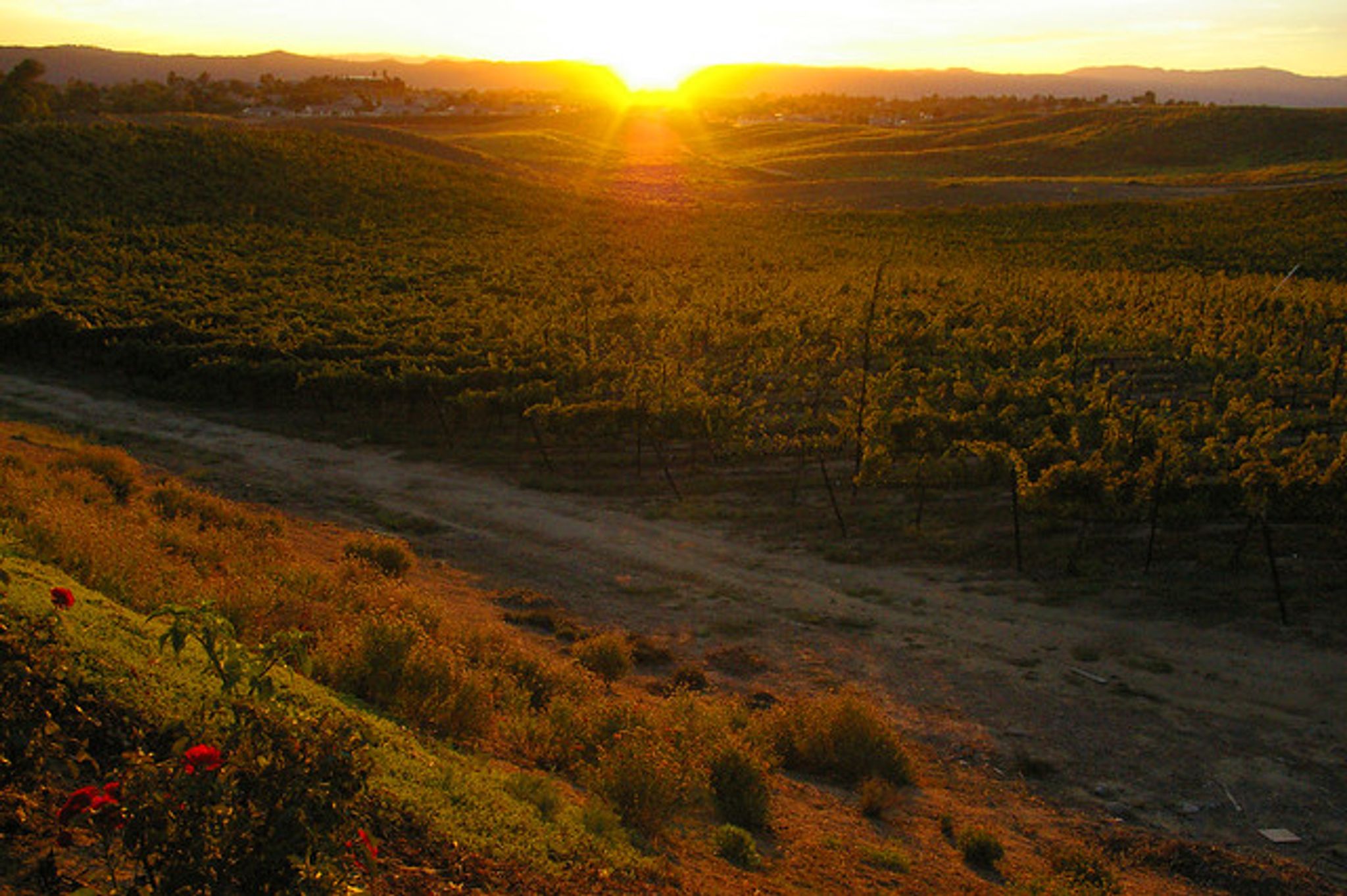 Cover for Robert Dwayne Elliott's Obituary
