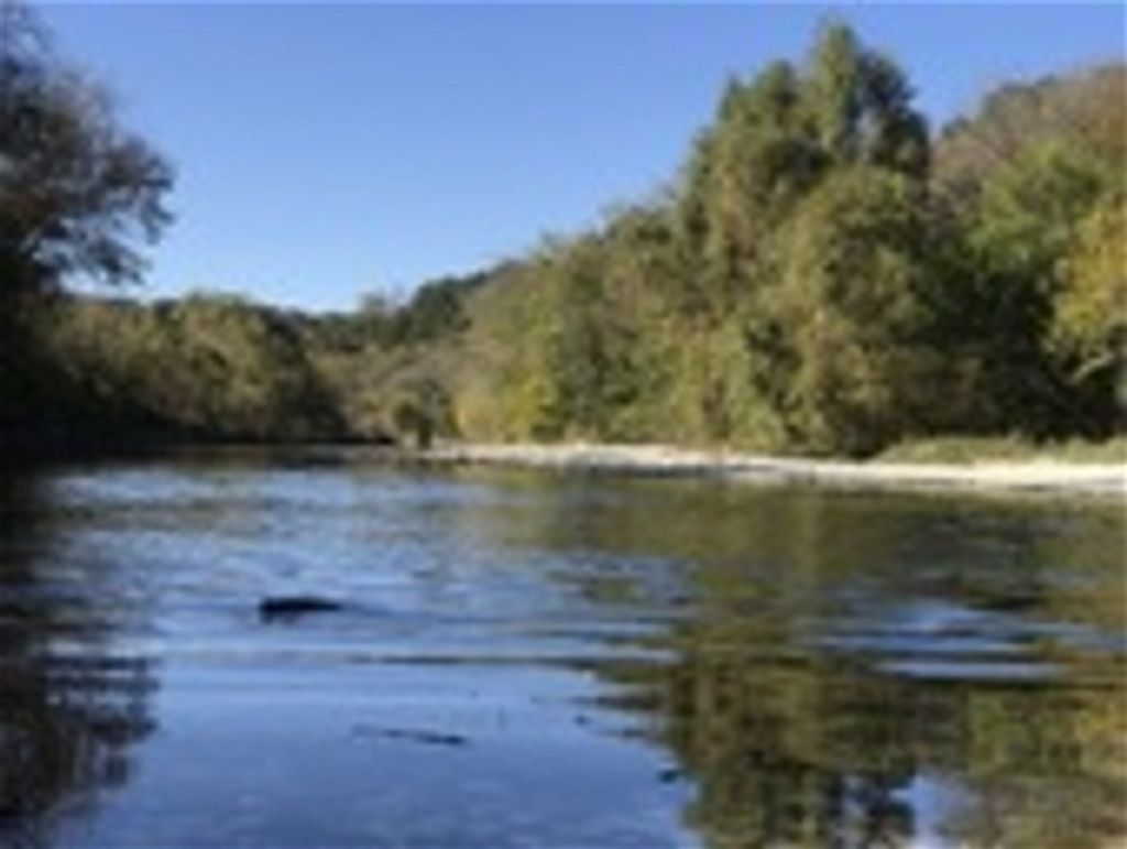 Ronald Clair Adams Profile Photo