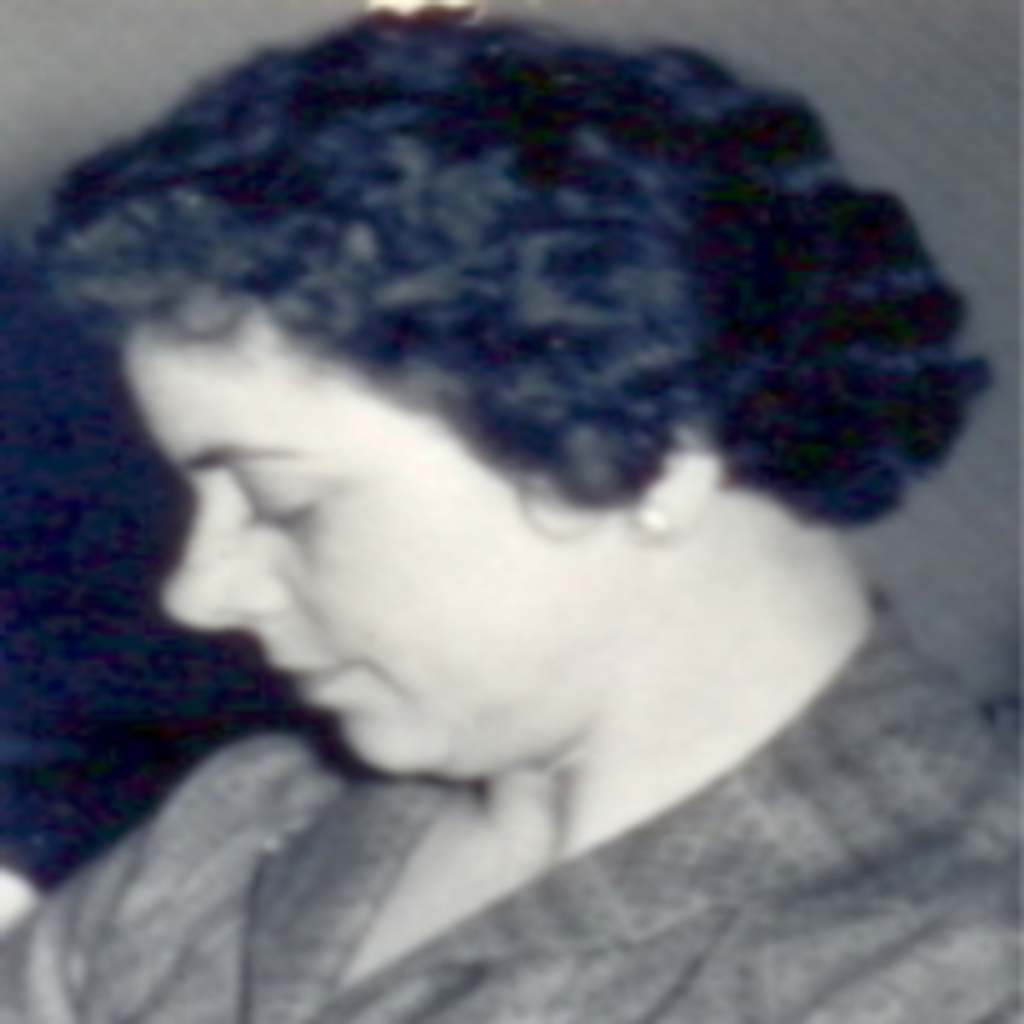 Virginia Botelho