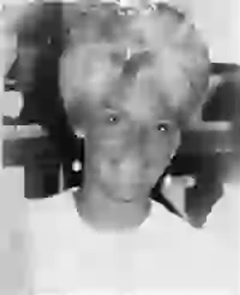 Stephanie M. Courtney