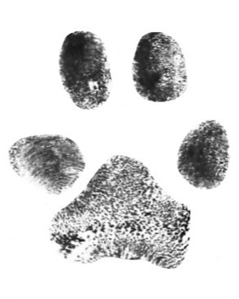 Roxanne Myers Profile Photo