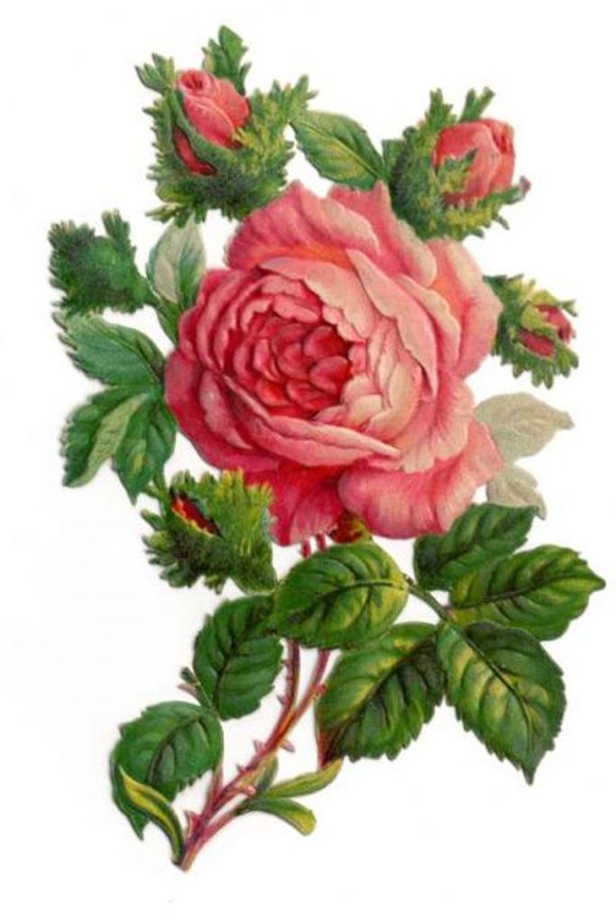 Rose Marie Coon