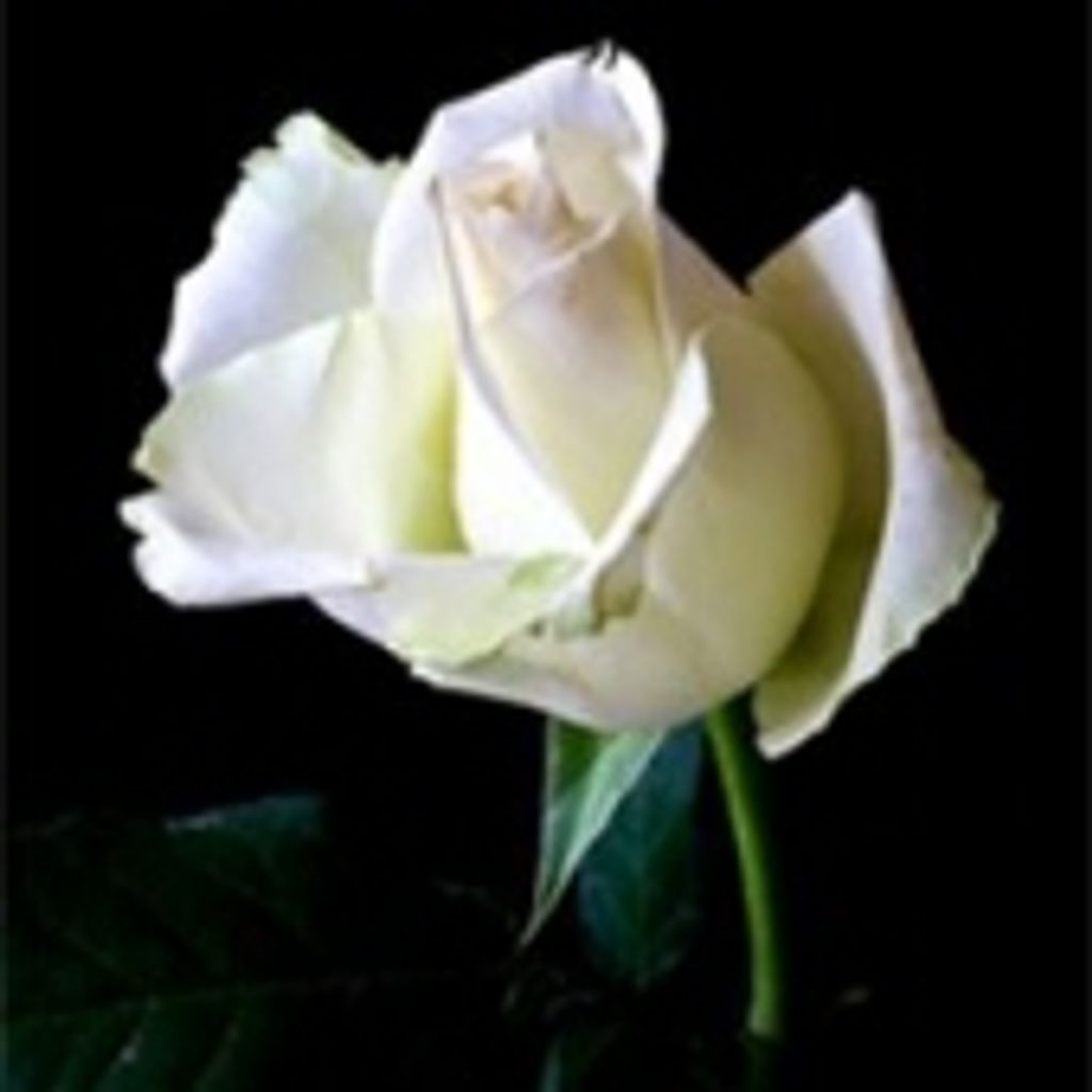 Jennie Lou (Hargett)  Hyatt