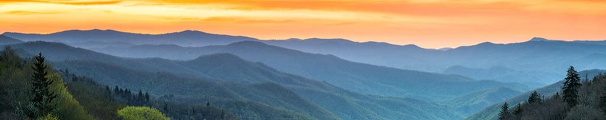 Cover photo for Amanda "Amy" Lynn Parnell's Obituary