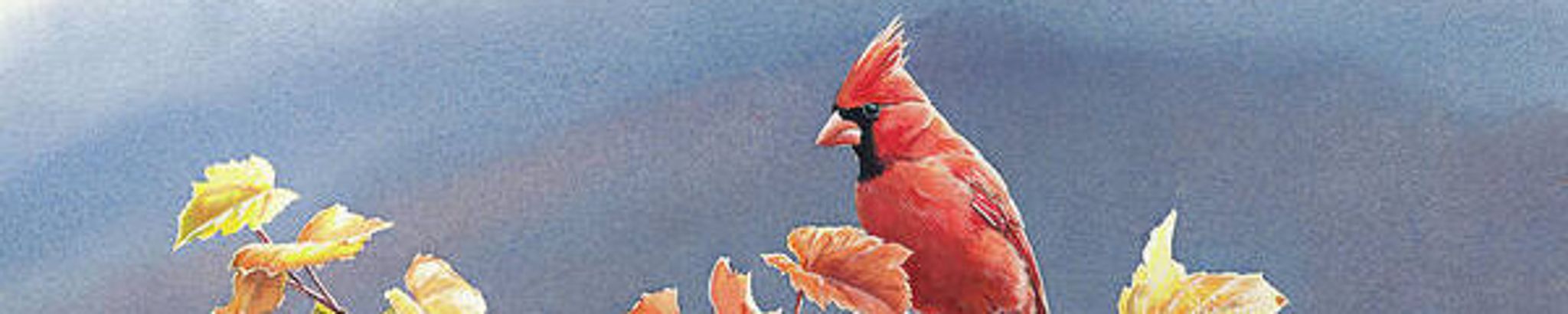 Cover photo for Jacquelyn A. Schumacher's Obituary