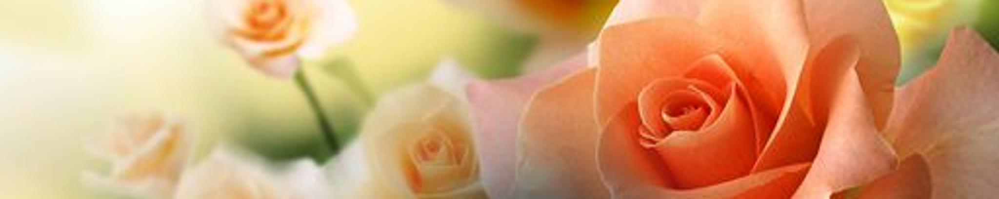 Cover photo for Bonnie Jean Mavros's Obituary