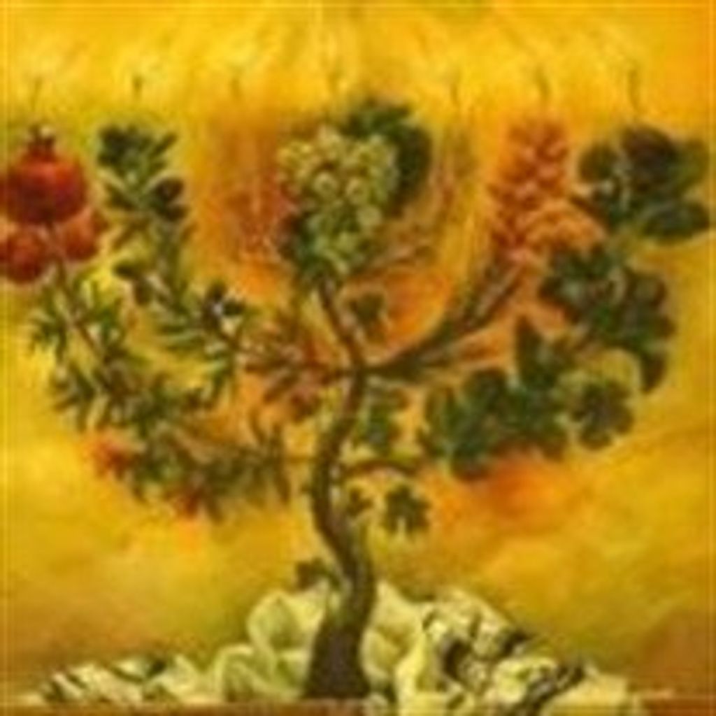 Barbara  Susan Cohen