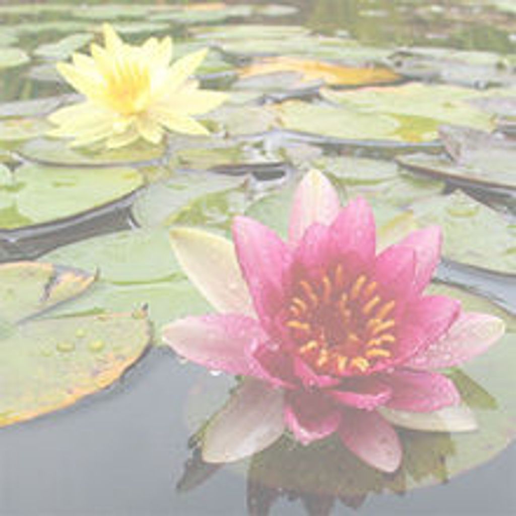 Katherine  "Kay" Langley Profile Photo