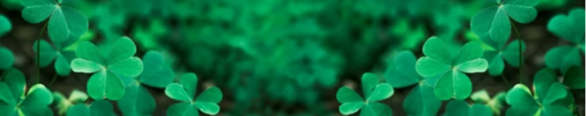 Cover photo for Shirlee Rohrbaugh's Obituary