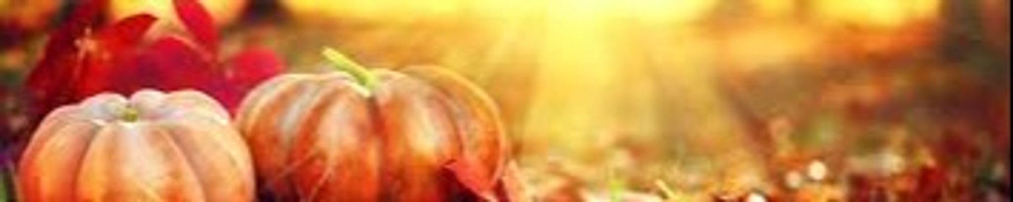 Cover photo for Betty Alexander's Obituary