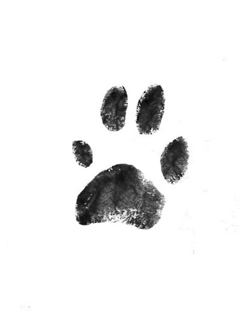 Chloe Towne Profile Photo
