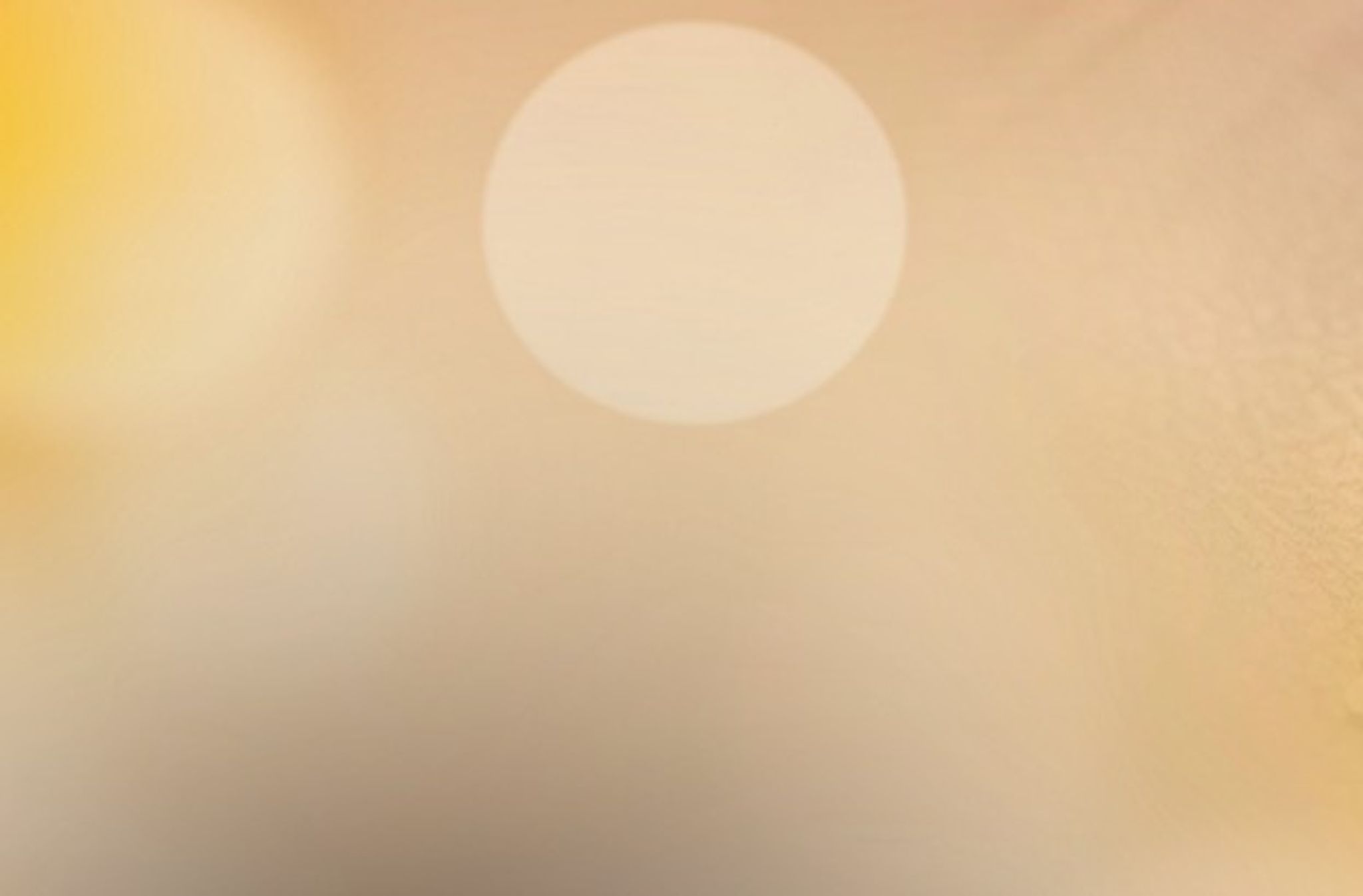 Cover for Lenora Kalman Potts's Obituary