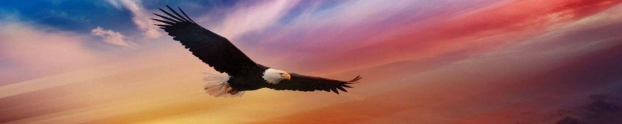 Cover for Randa Kay Fellabaum Williams's Obituary