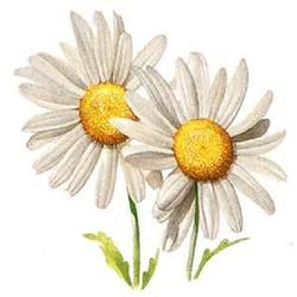 Heidi & Savannah Walker