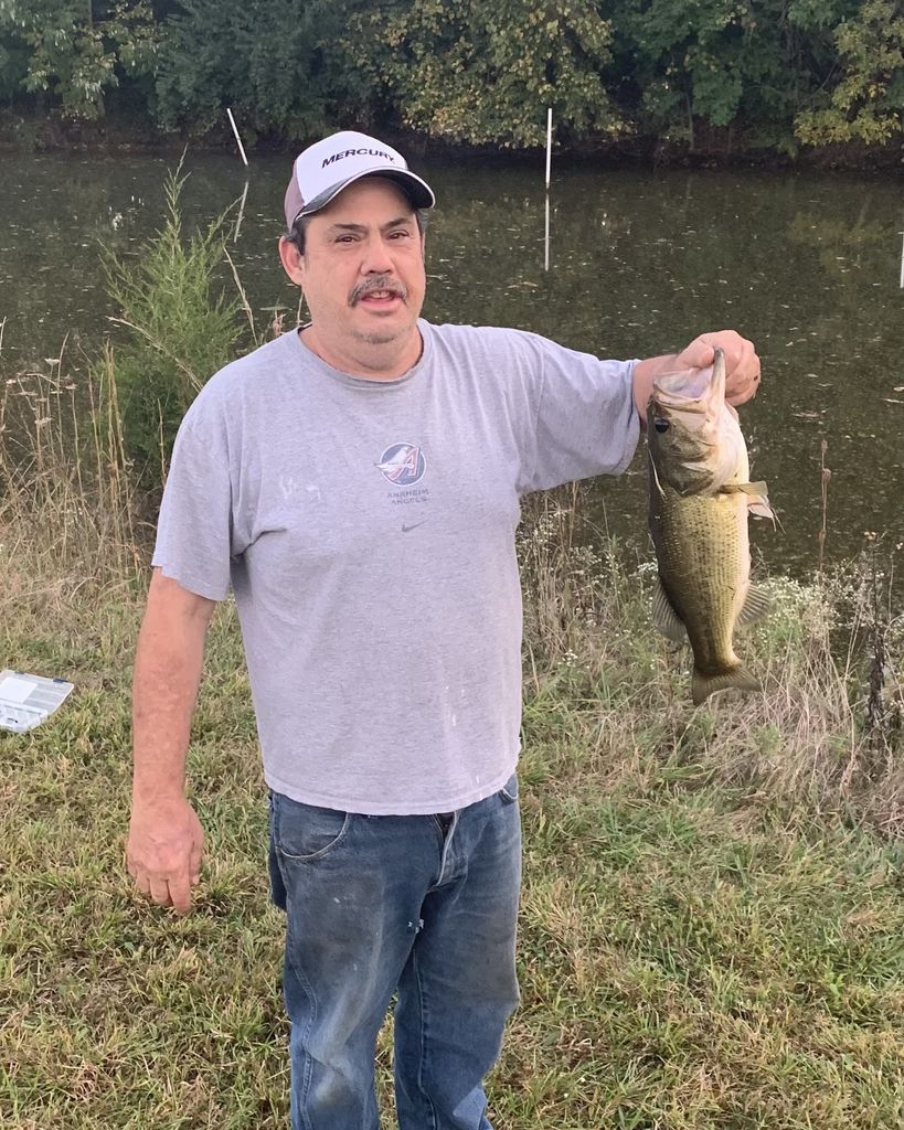 Layne S. Wolfson