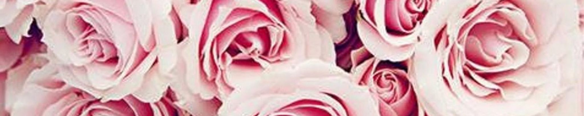 Cover photo for Peggy Ann Tybussek's Obituary