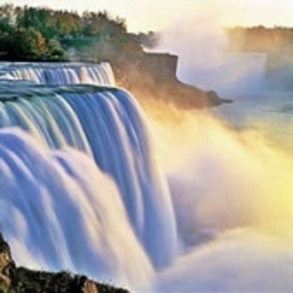 David Marcus Metchick