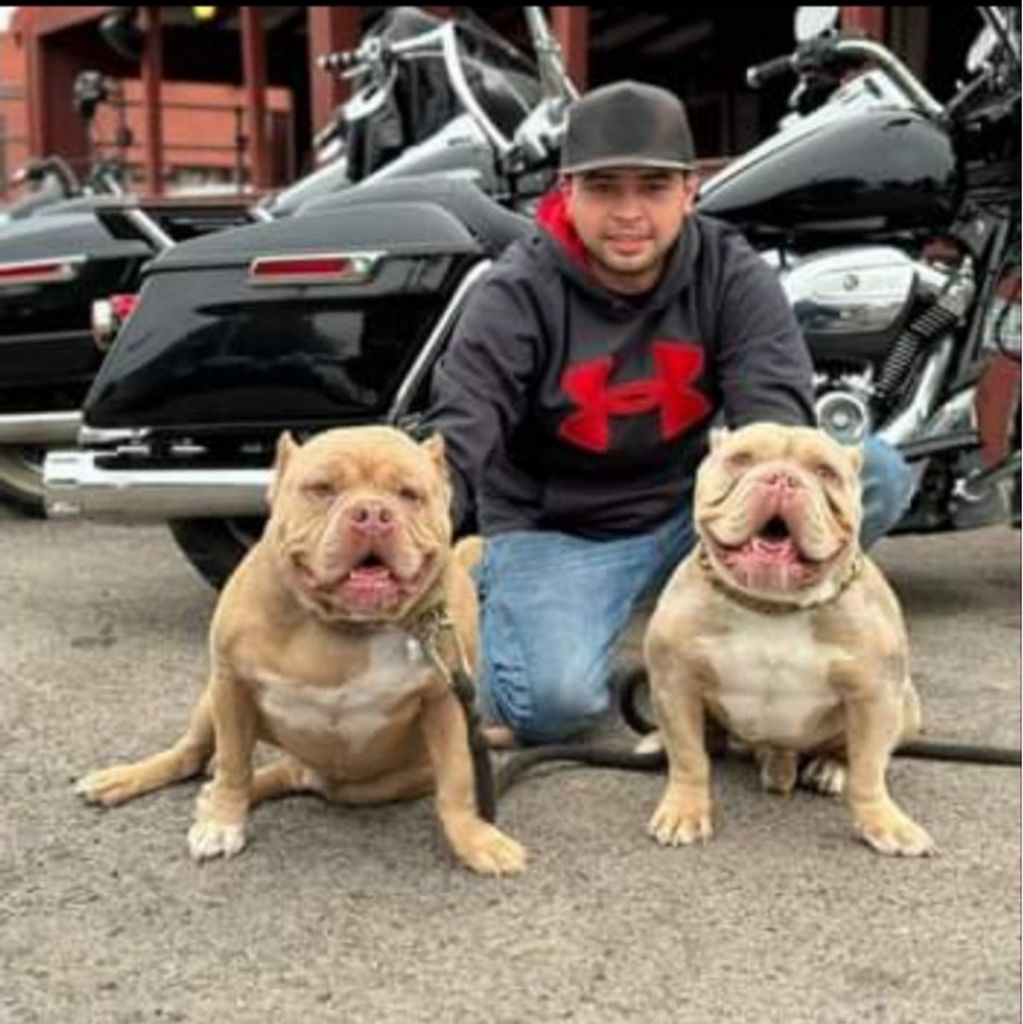 Fabian "Mijo" Gonzales Profile Photo