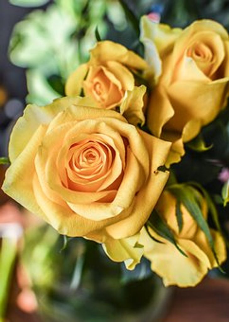 Maria Alexandria Palma