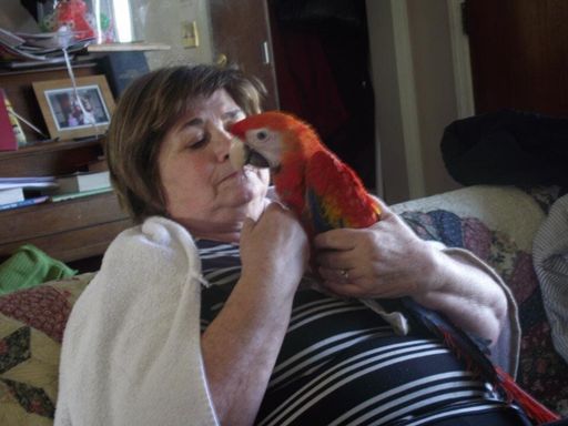Gail Grimes photo gallery thumbnail 21 of 67