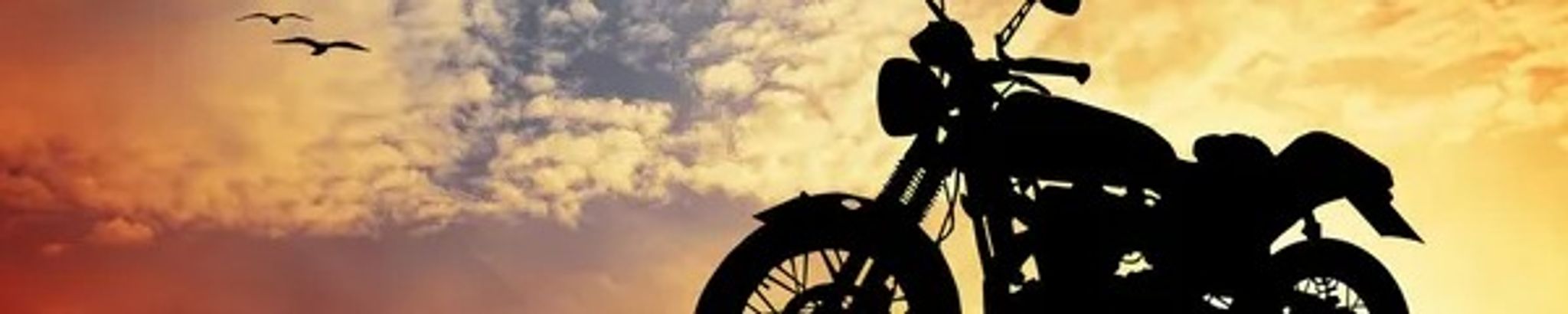 Cover for Eric Gore's Obituary