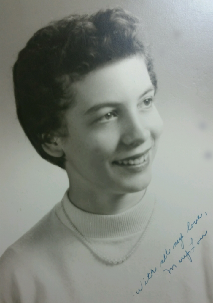 Mary Lou (Falash)  Alwardt