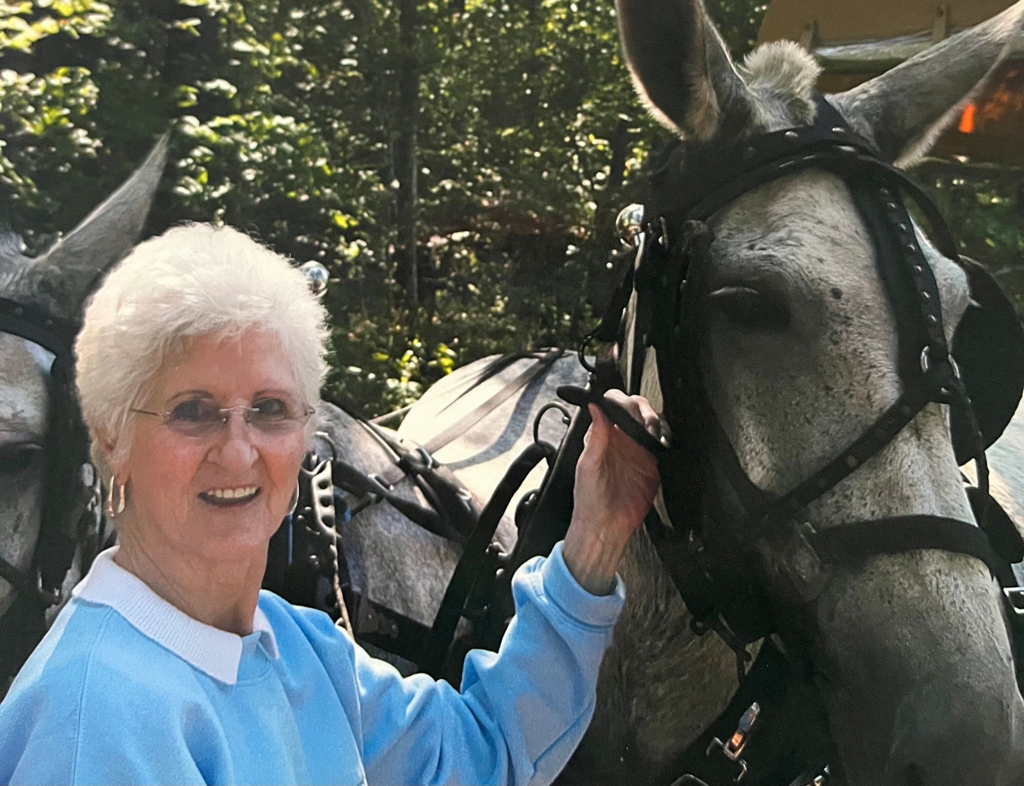 Betty Lou McCloud Obituary Jun 6, 2026 - Newcomer Columbus