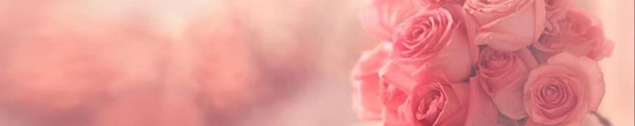 Cover photo for Rosanne A. Sherburne's Obituary