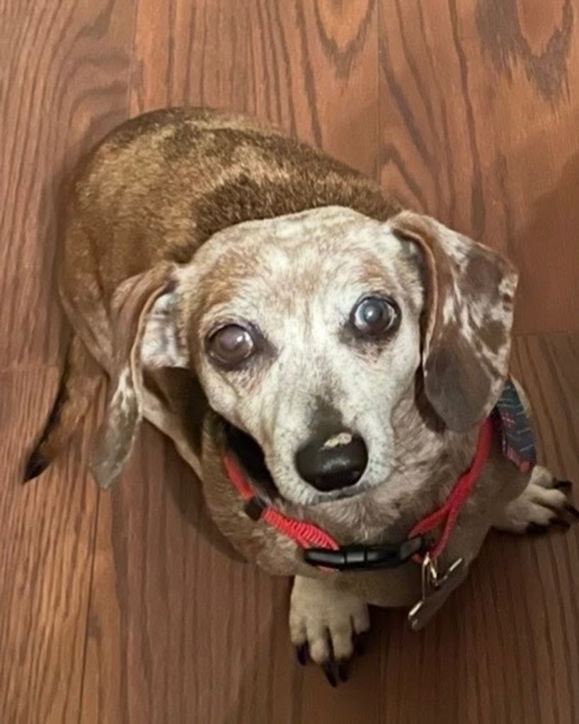 CoCo Profile Photo