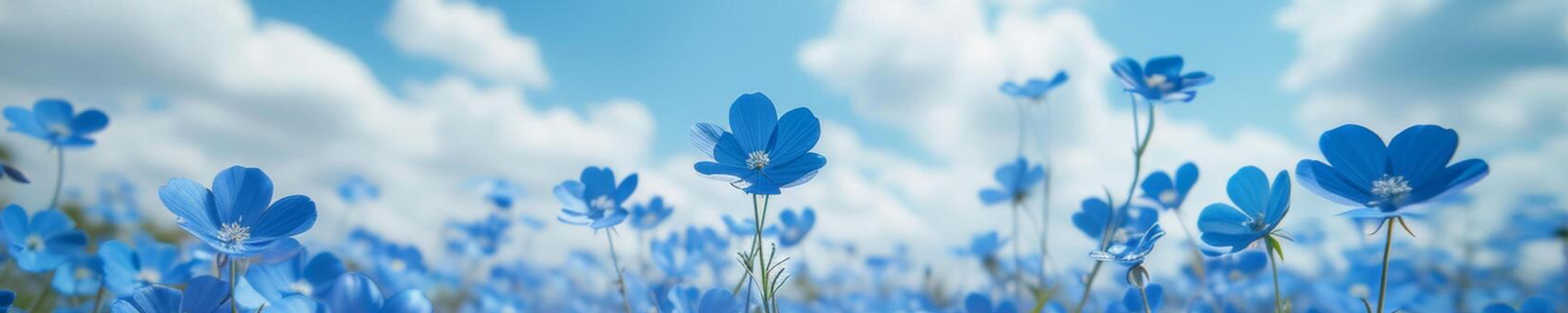 Cover photo for Gloria Berger Smith's Obituary
