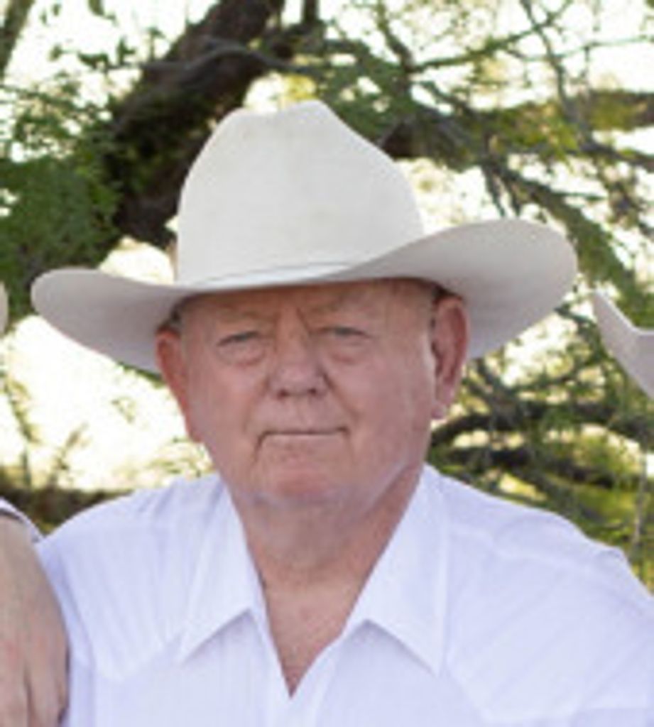 Michael E Cooper