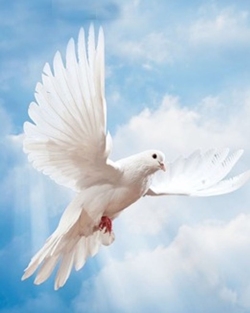 Dorothy Jean Griffin Profile Photo