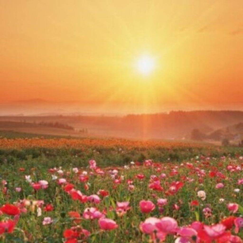 Cathy Marett Brinson