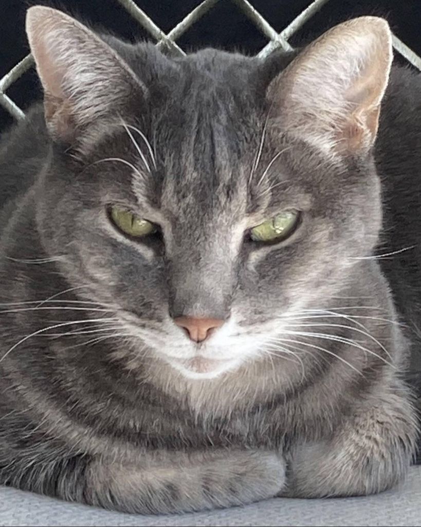 Lucky Blue Cockrell Profile Photo