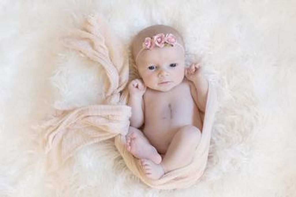 Harper Grace Harrison