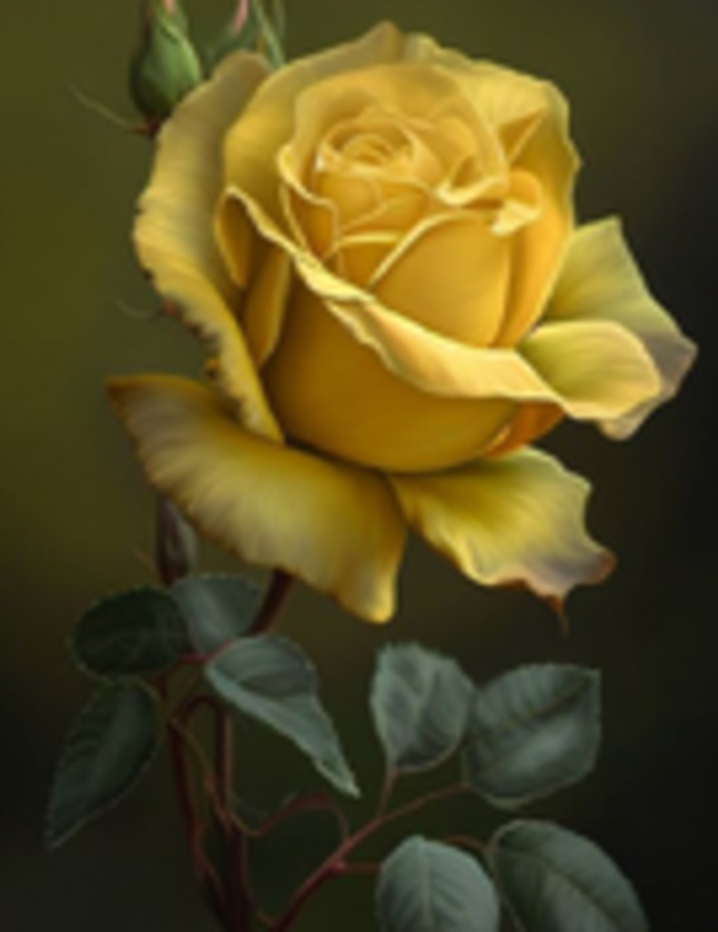 Ronnie Larry Flinkfelt