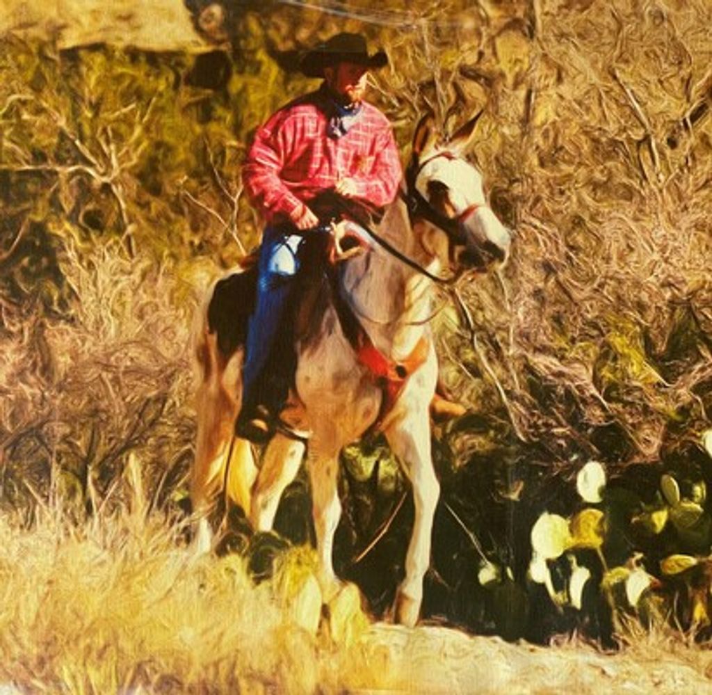 Cecil Cj Stubblefield Jr.