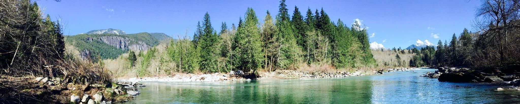 Cover for Alma Glenrose Williams's Obituary