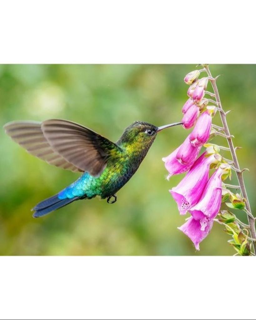 Barbara Ann Miller Profile Photo