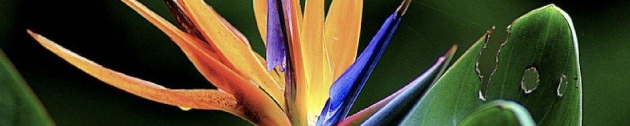 Cover photo for Angelita "Angela" Marie Huber's Obituary