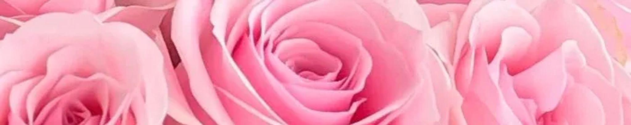 Cover for Mary Ann Poeppelman's Obituary