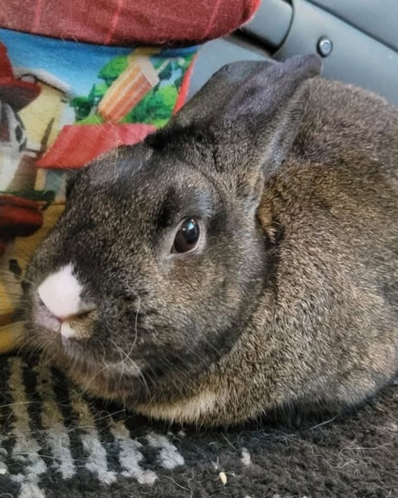 Shade Caudill Profile Photo