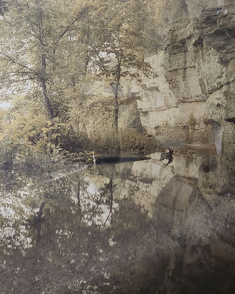 Richard Rylander