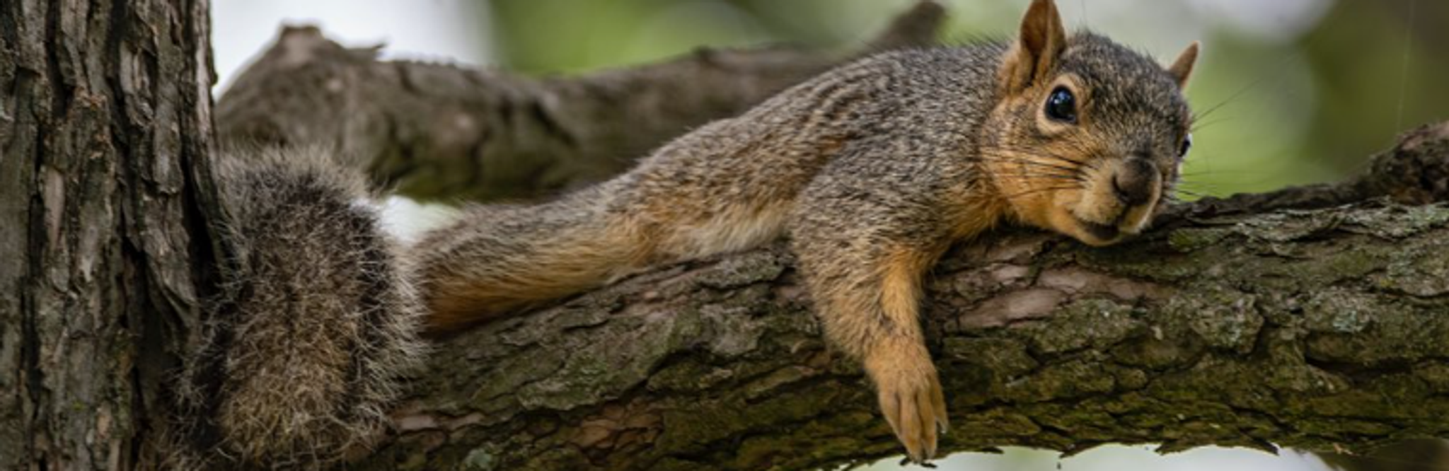 Cover for Erma Lee Hanson's Obituary