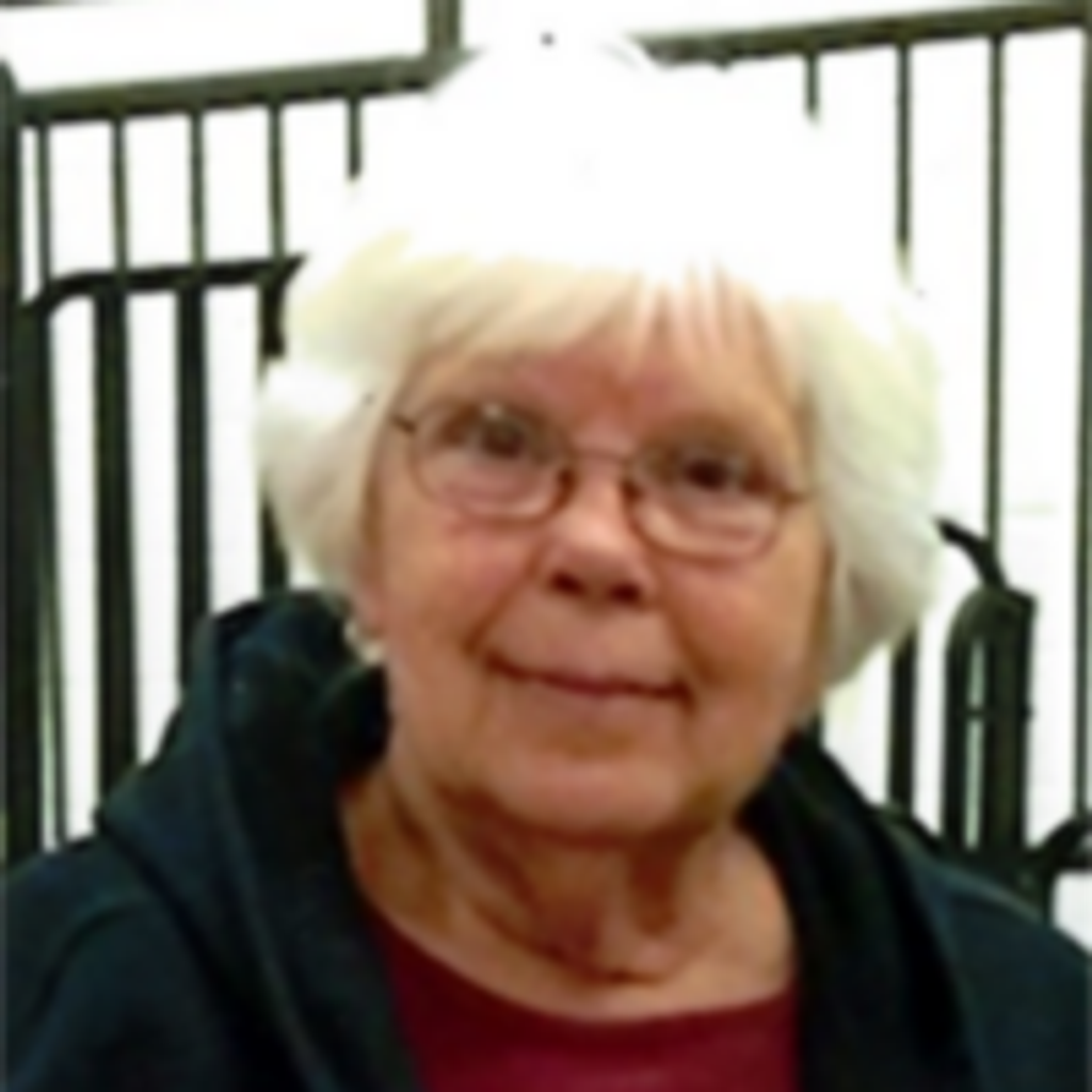 Lynda Newborn Hester Profile Photo