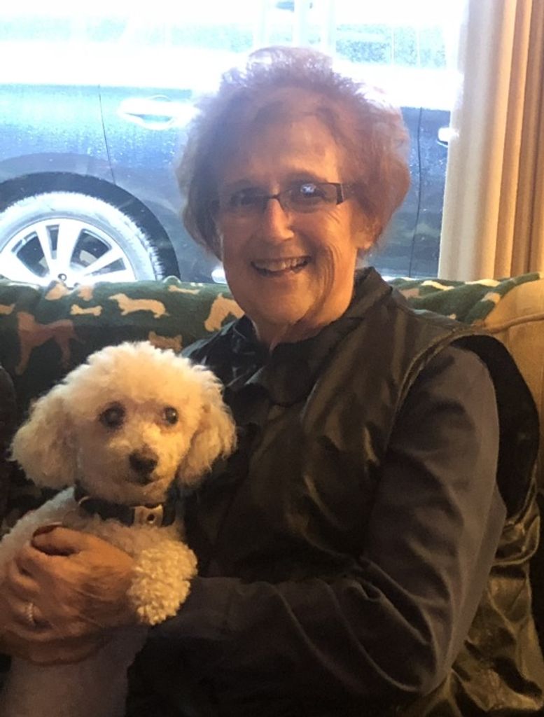 Judith Ann (Kaplan)  Sarett