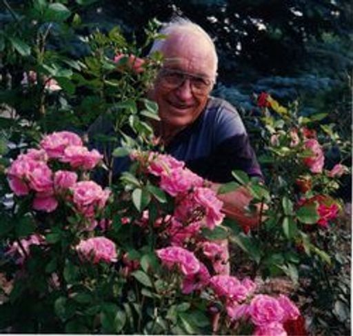 Marvin Reckling Profile Photo