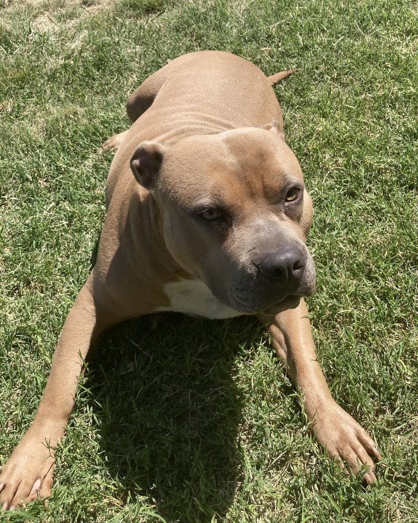 Honey Bernal Profile Photo