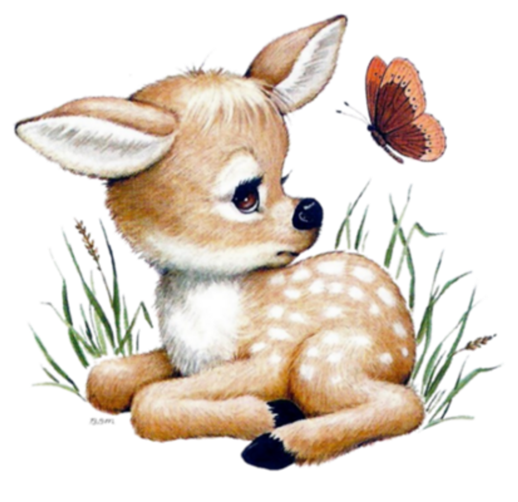 Gabriel Asher Blair Profile Photo