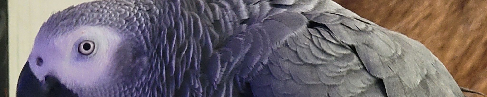 Cover photo for James W. Cunningham, Jr.'s Obituary